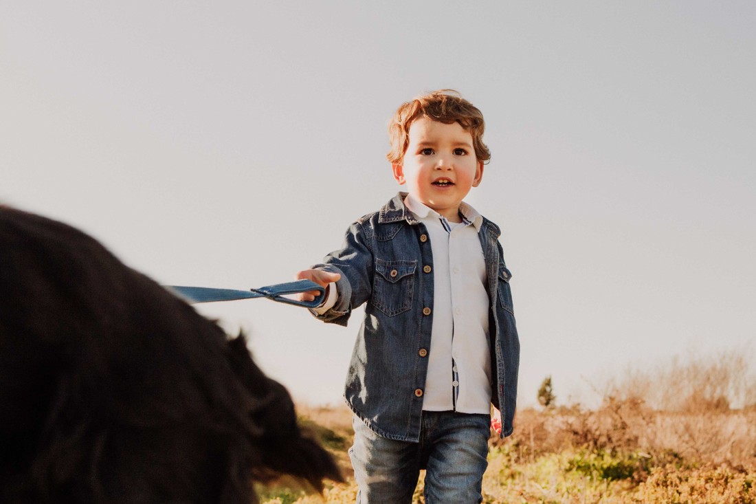 fotografos-de-Mascotas-cc-Malaga-fotos-perros-Malaga