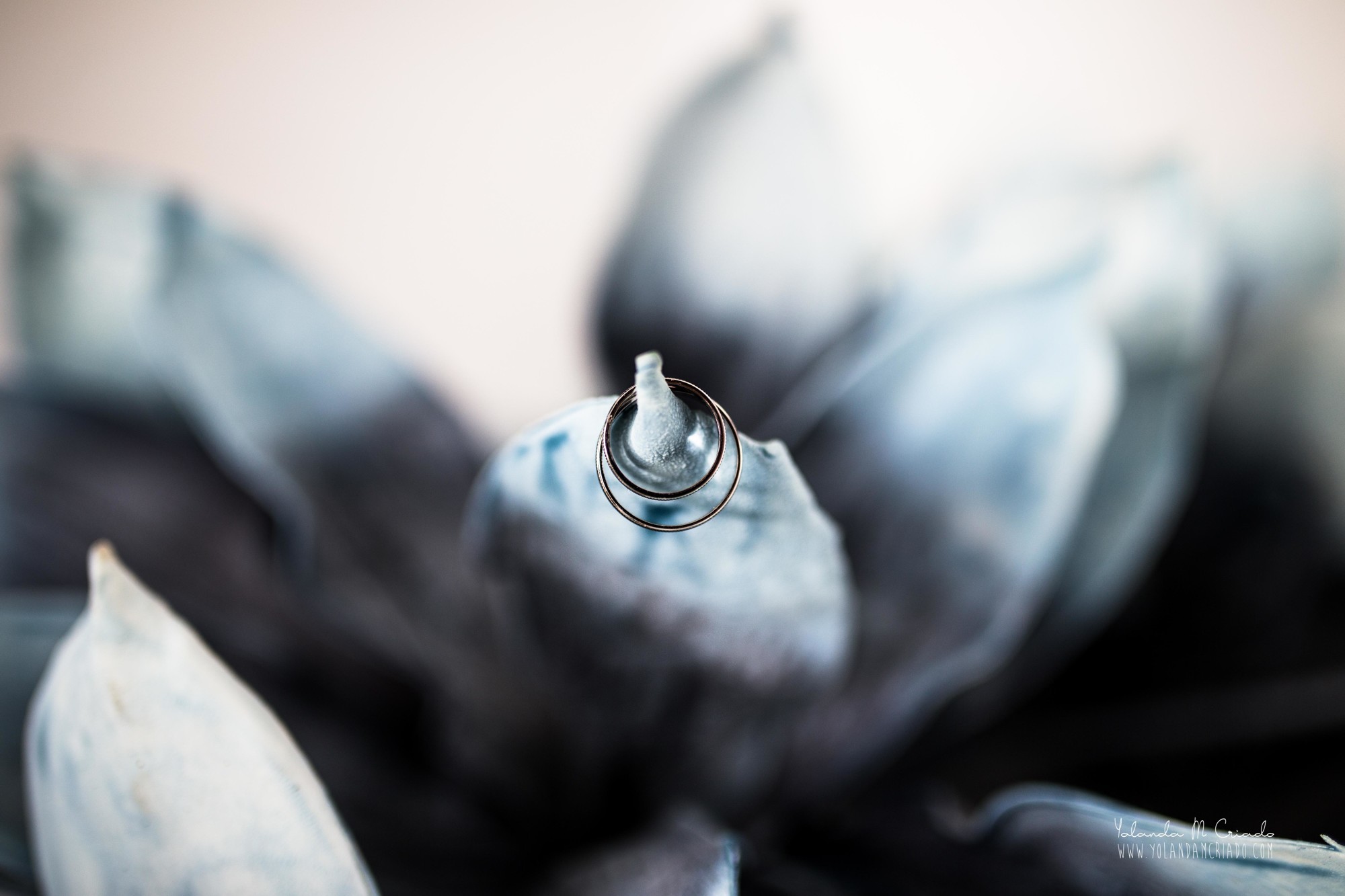 Fotógrafos boda Málaga 34